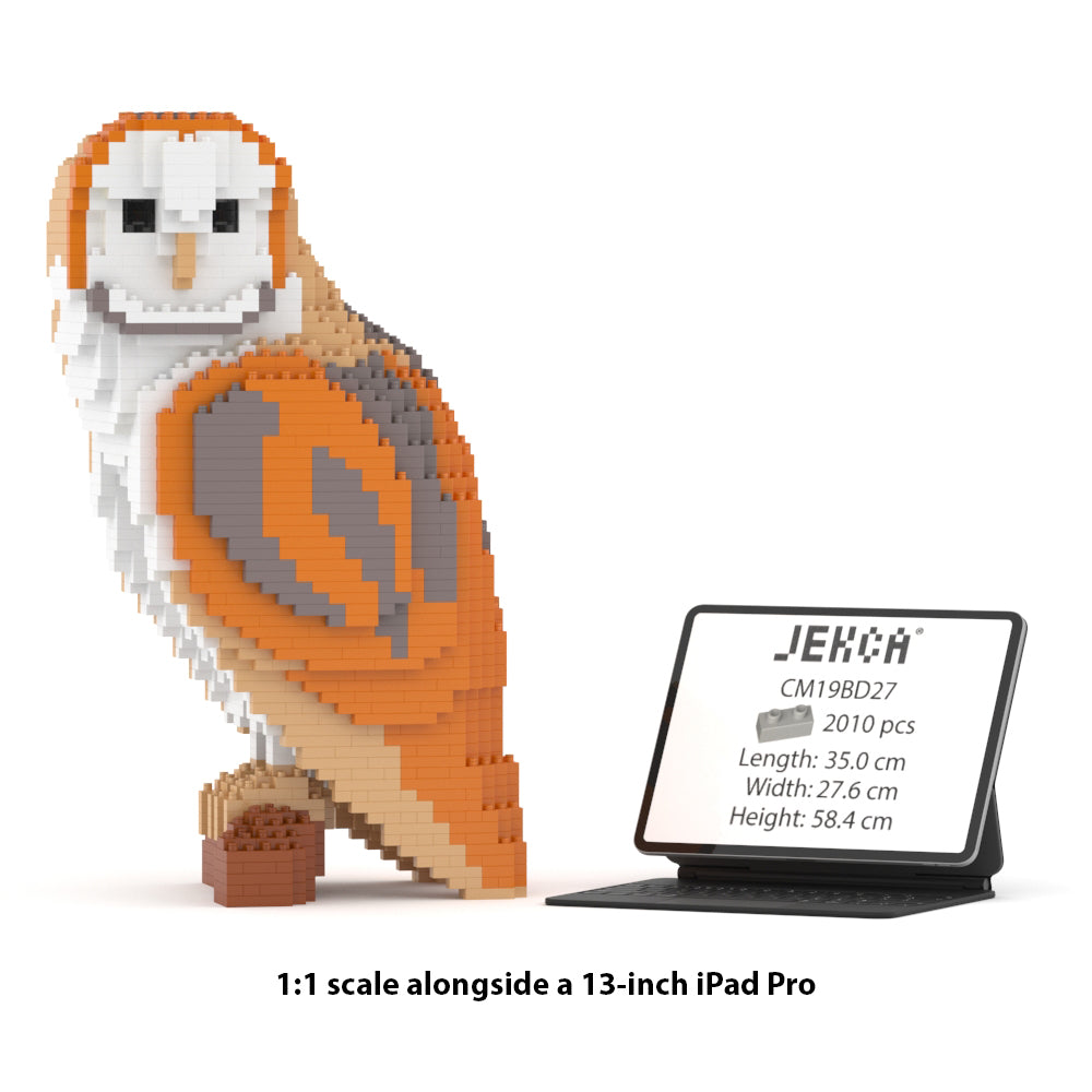 Barn Owl 01