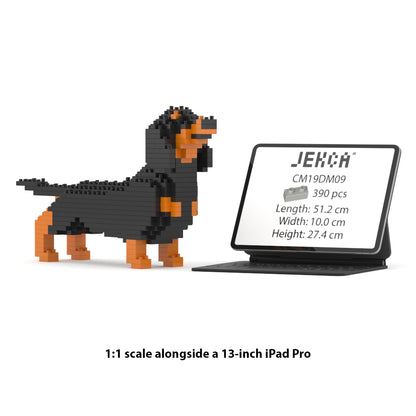 Dachshund Mini 01