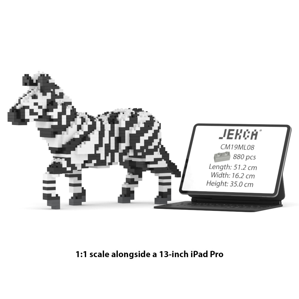 Zebra 01