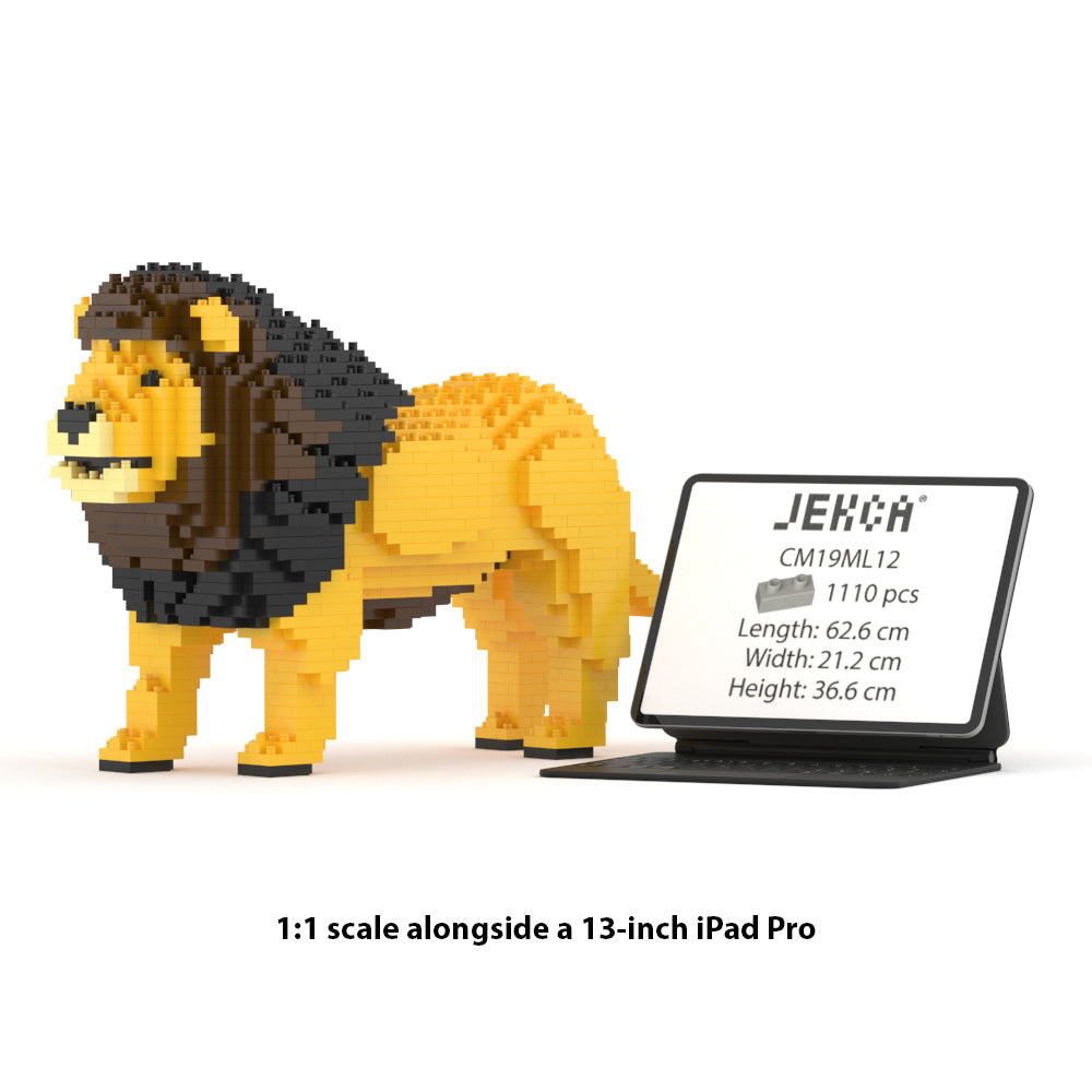 Lion 01