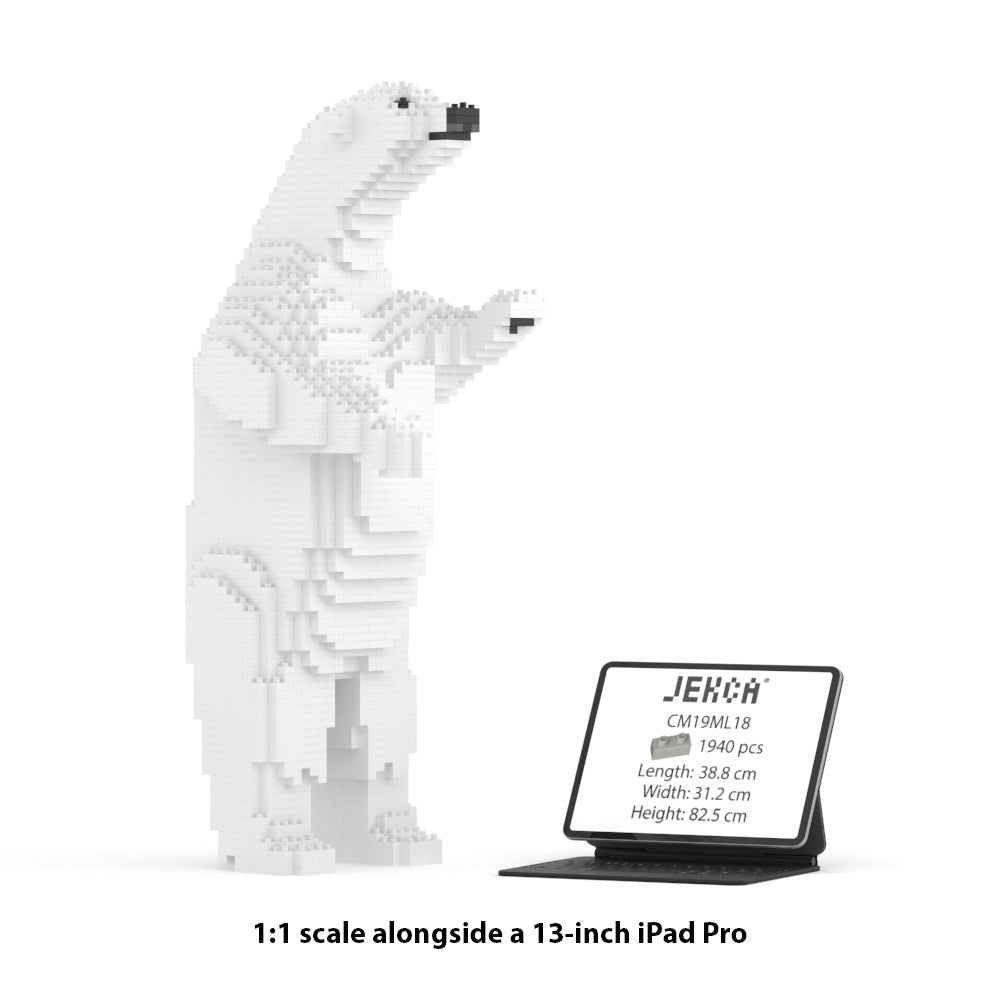 Polar Bear 02