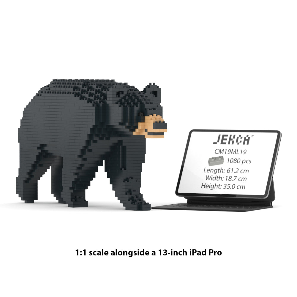 Black Bear 01