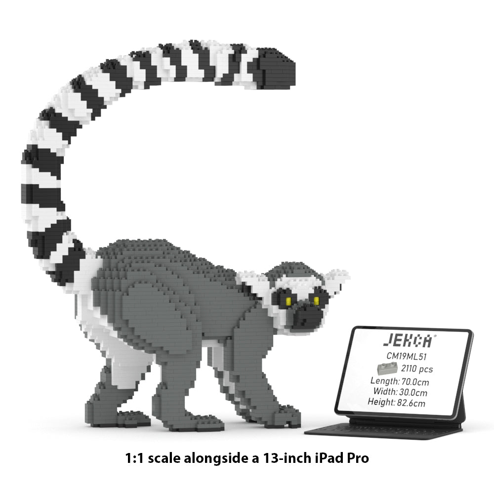 Lemur 01