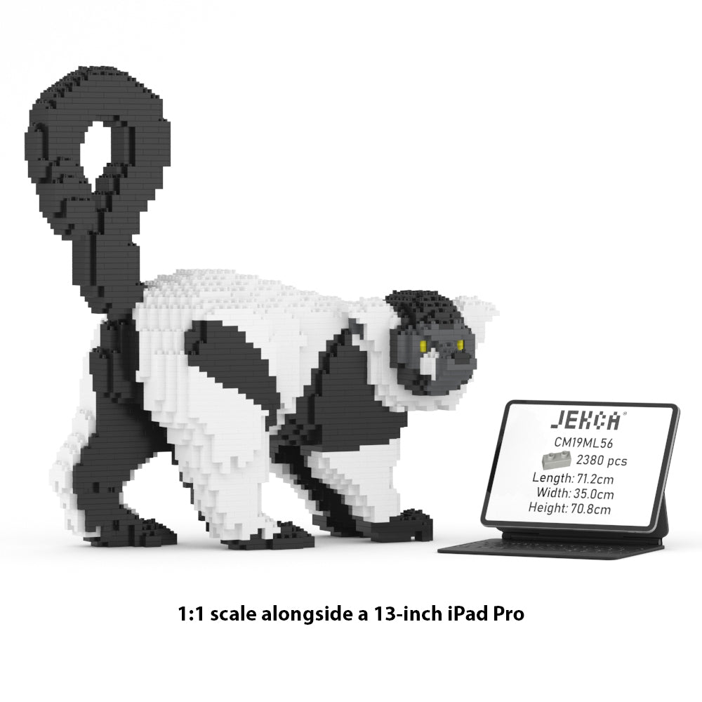 Black and White Lemur 01