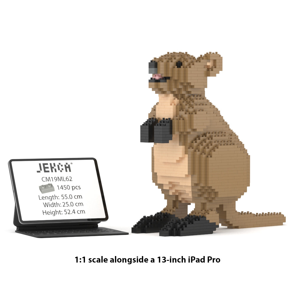 Quokka 01