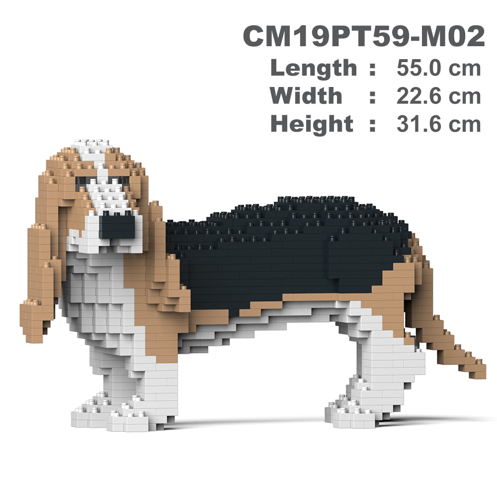 Basset Hound 01-M02