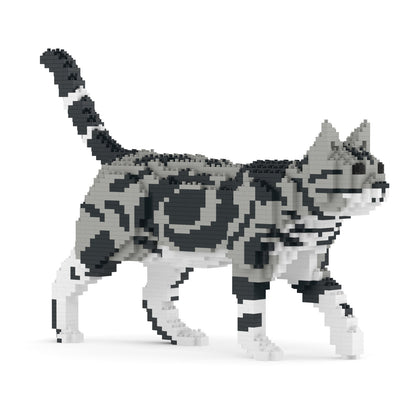 American Shorthair Cat 02S-M01