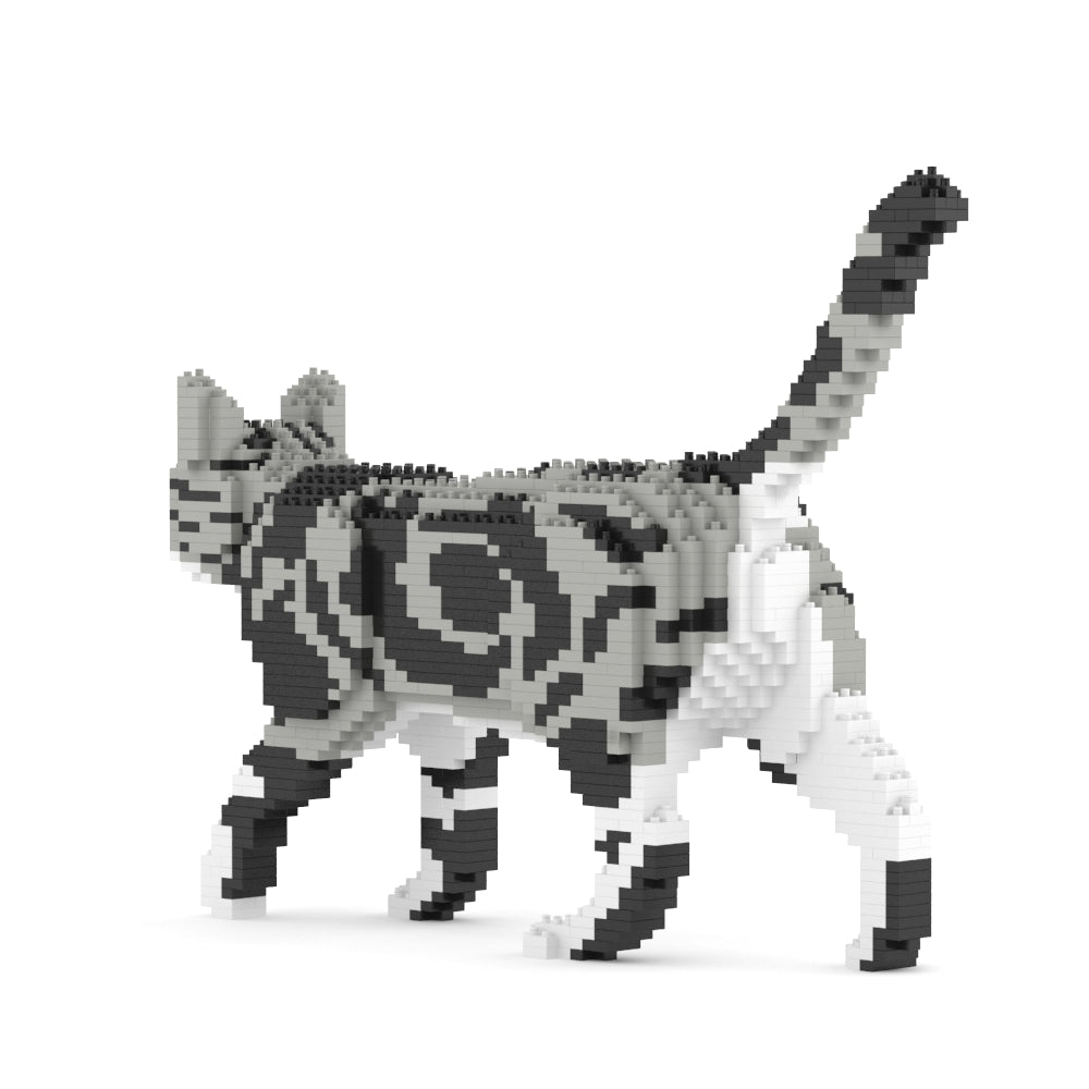 American Shorthair Cat 02S-M01B (Version 2025)