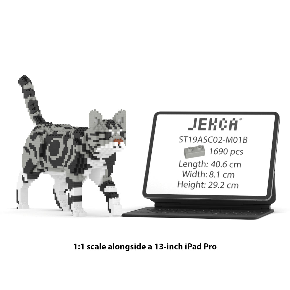 American Shorthair Cat 02S-M01B (Version 2025)