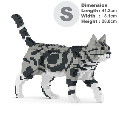 American Shorthair Cat 02S-M01