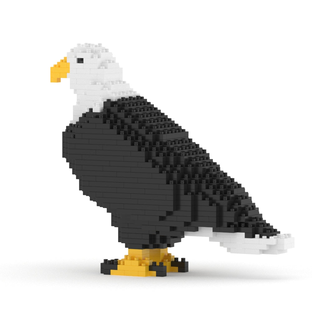 Bald Eagle 01