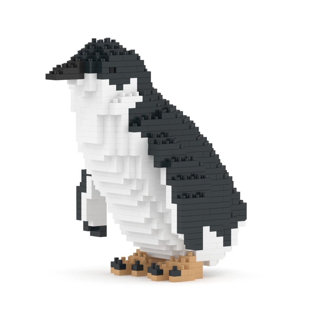 Little Penguin 01