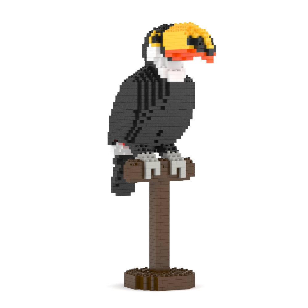 Toco Toucan 01S