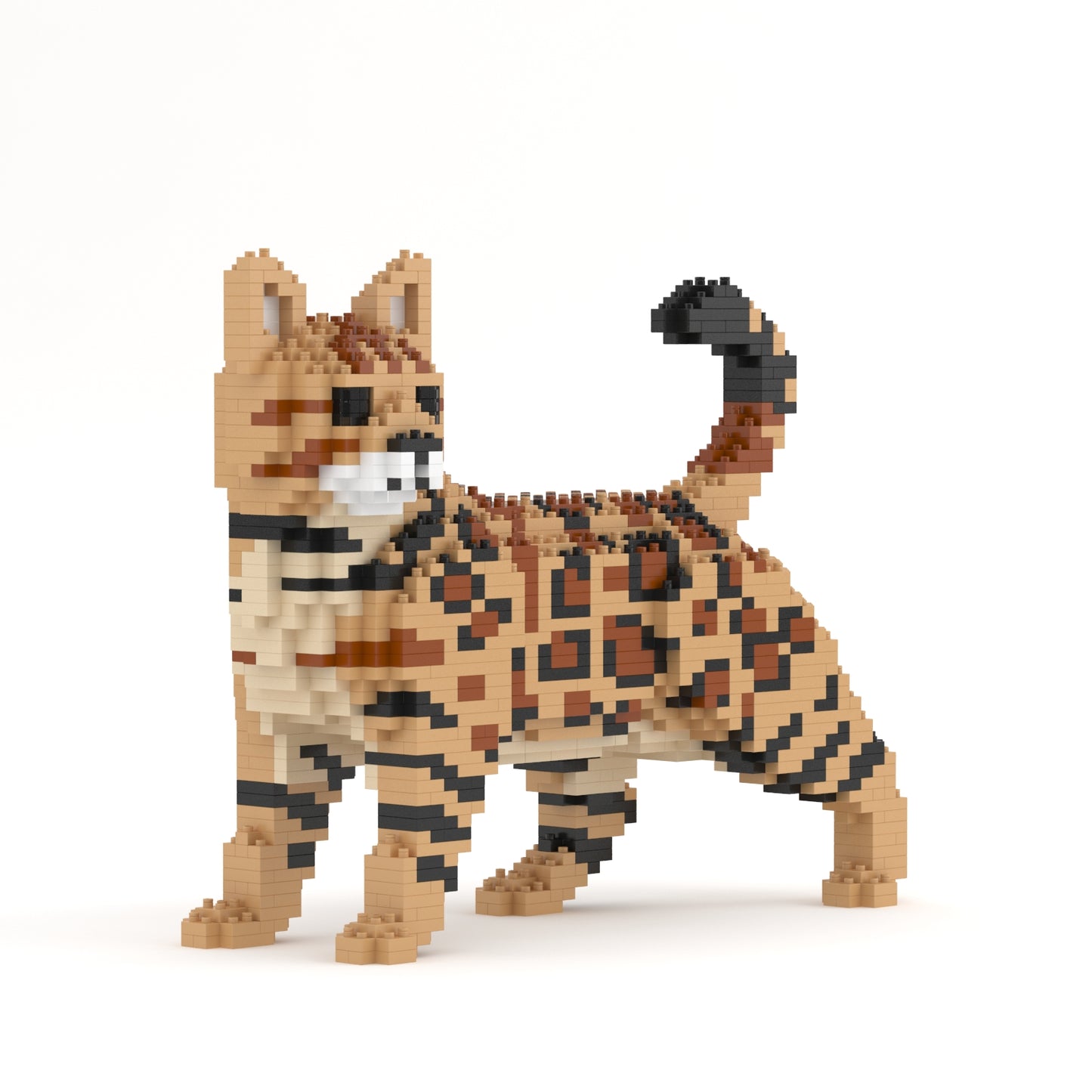 Bengal Cat 4-in-1 Pack 01S-M01