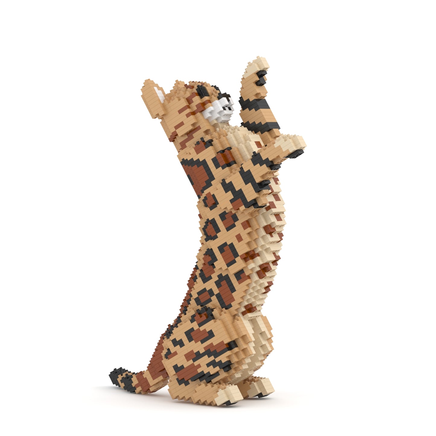 Bengal Cat 4-in-1 Pack 01S-M01