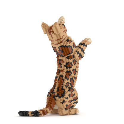 Bengal Cat 4-in-1 Pack 01S-M01