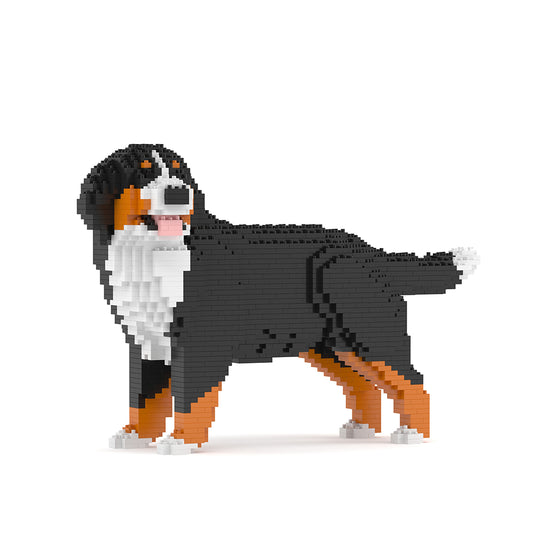 Bernese Mountain Dog 03B