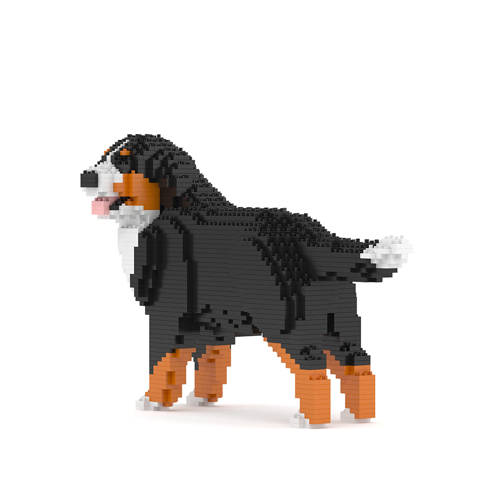 Bernese Mountain Dog 03B (version 2024)