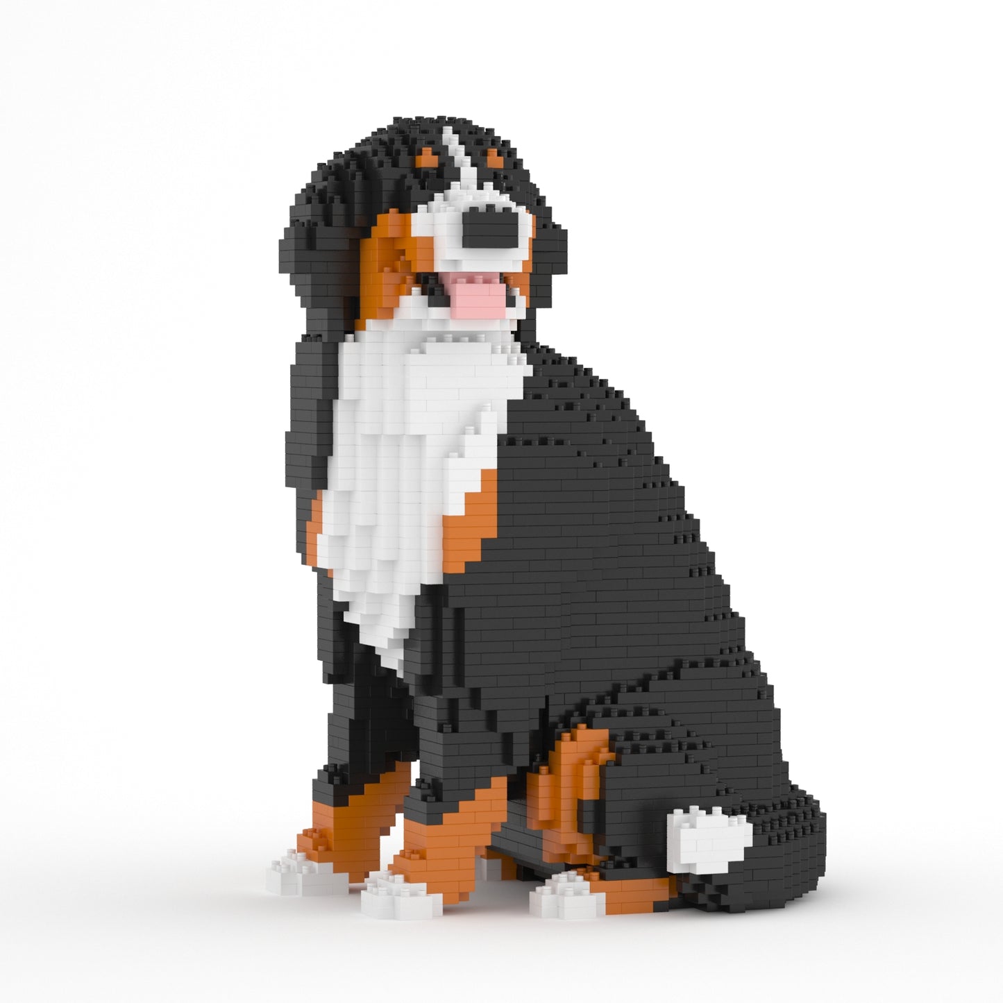 Bernese Mountain Dog 05B (version 2024)