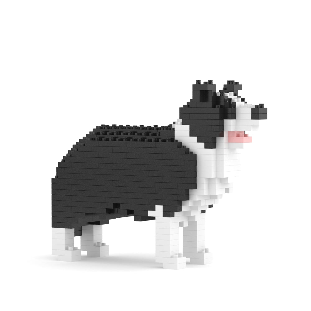 Border Collie Mini 01