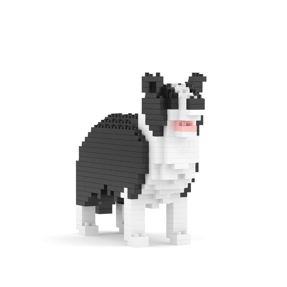 Border Collie Mini 01