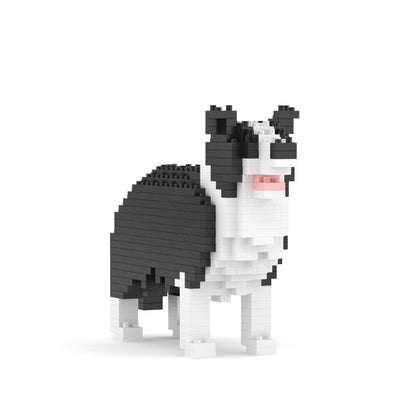 Border Collie Mini 01