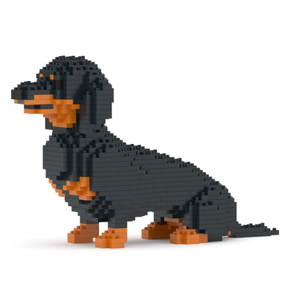 Dachshund 03-M01