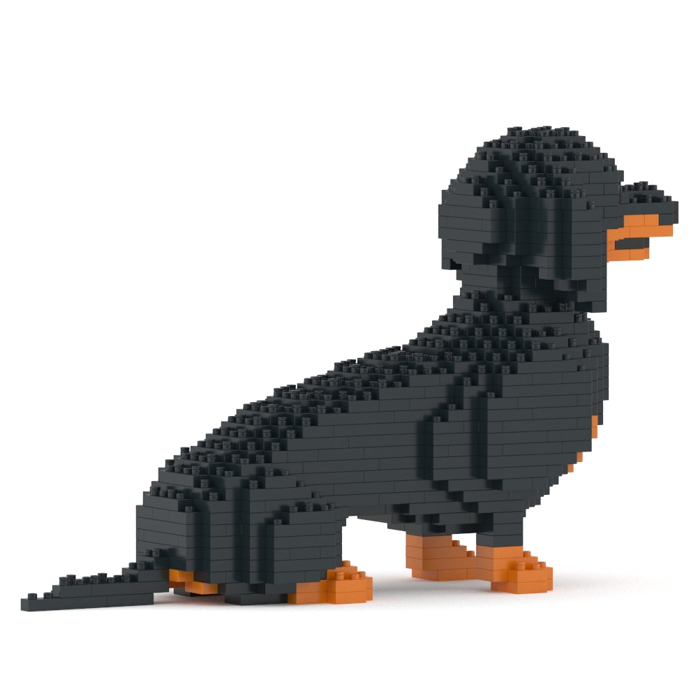 Dachshund 03-M01