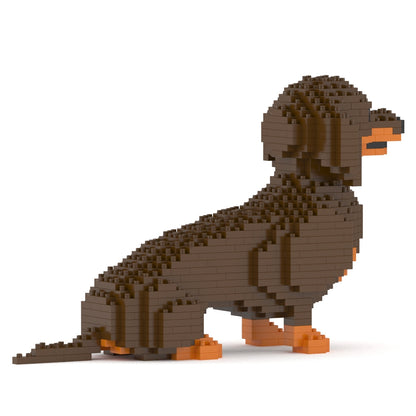 Dachshund 03-M02