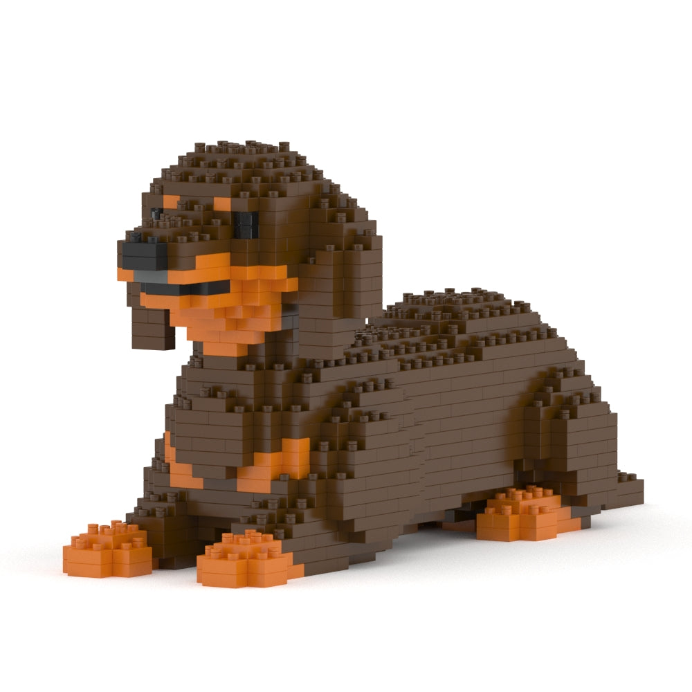 Dachshund 04-M02