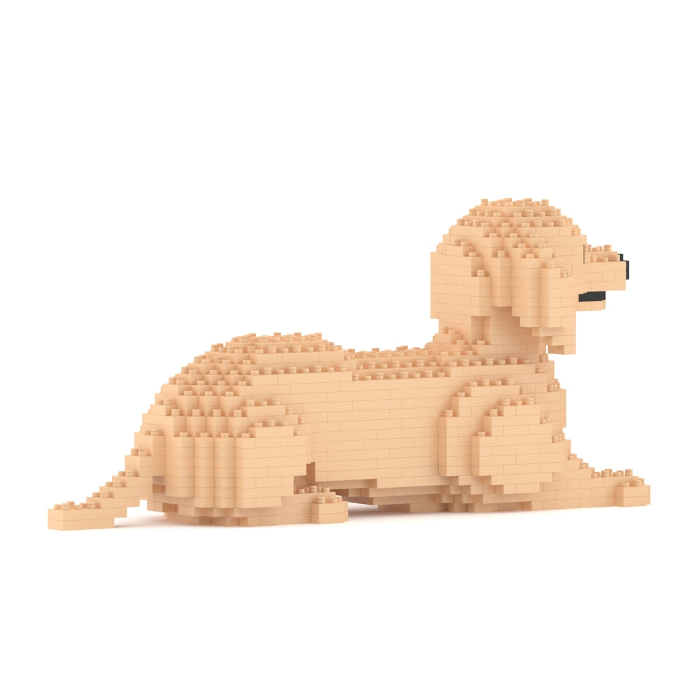 Dachshund 04-M03