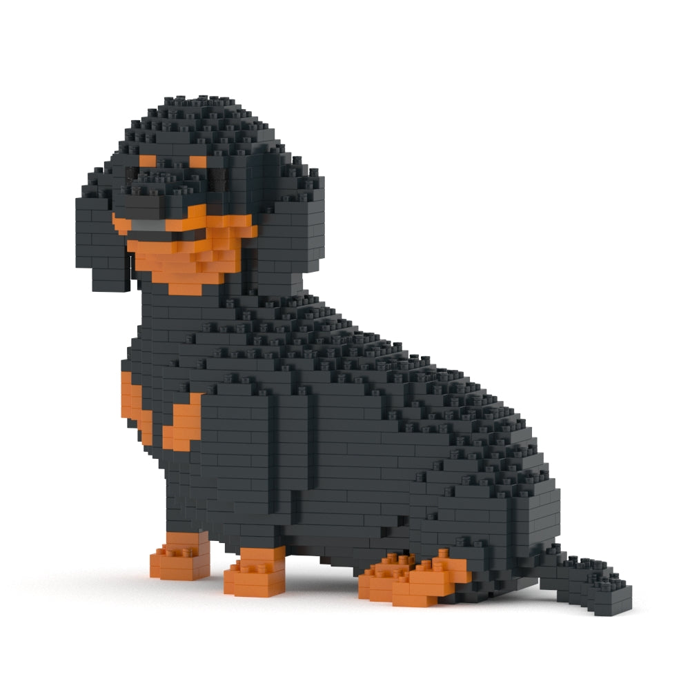 Dachshund 05-M01