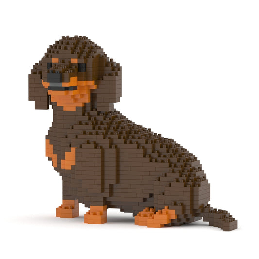 Dachshund 05-M02