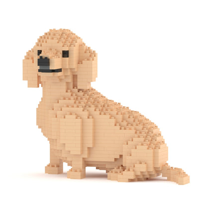 Dachshund 05-M03