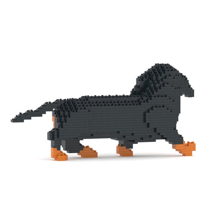 Dachshund 06-M01