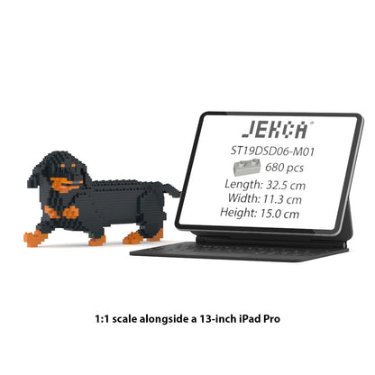 Dachshund 06-M01