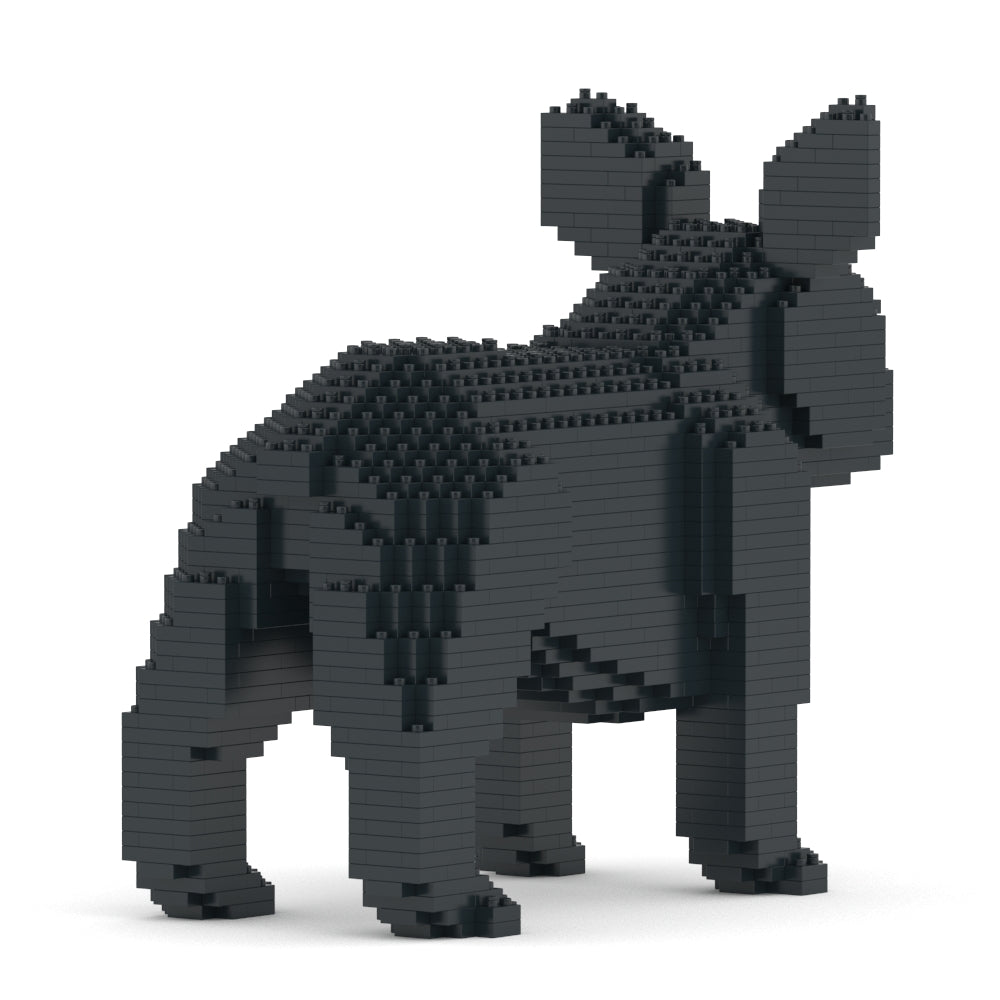 French Bulldog 02-M03