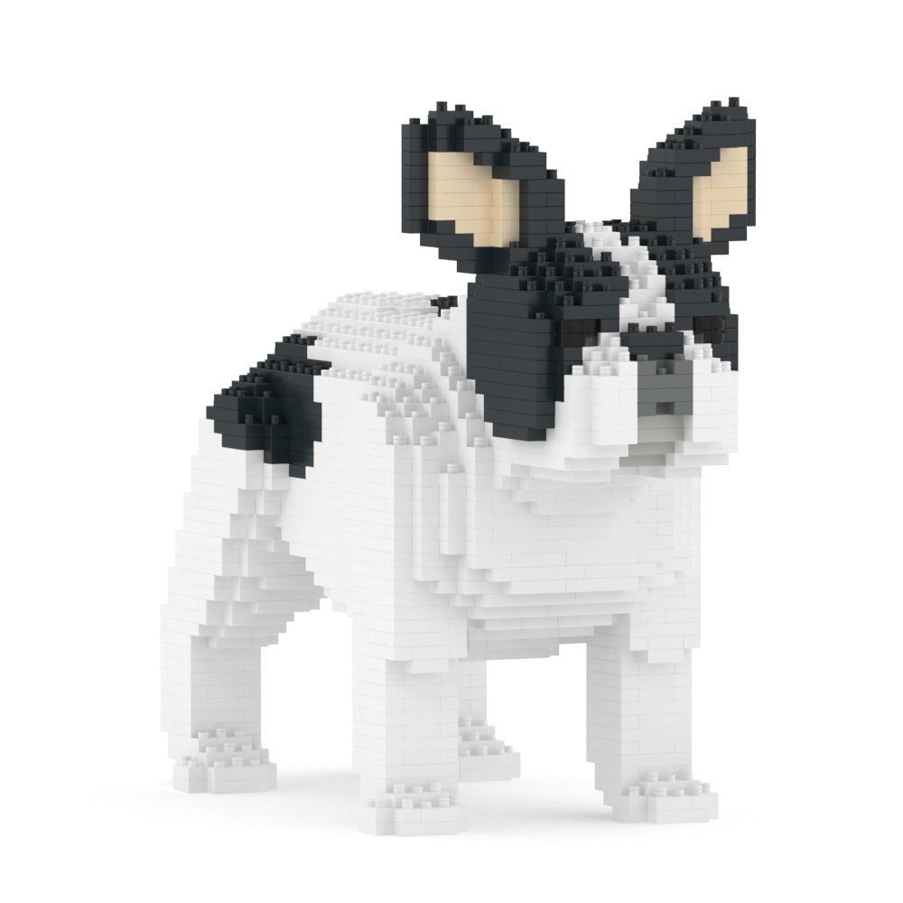 French Bulldog 02-M04