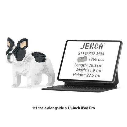 French Bulldog 02-M04