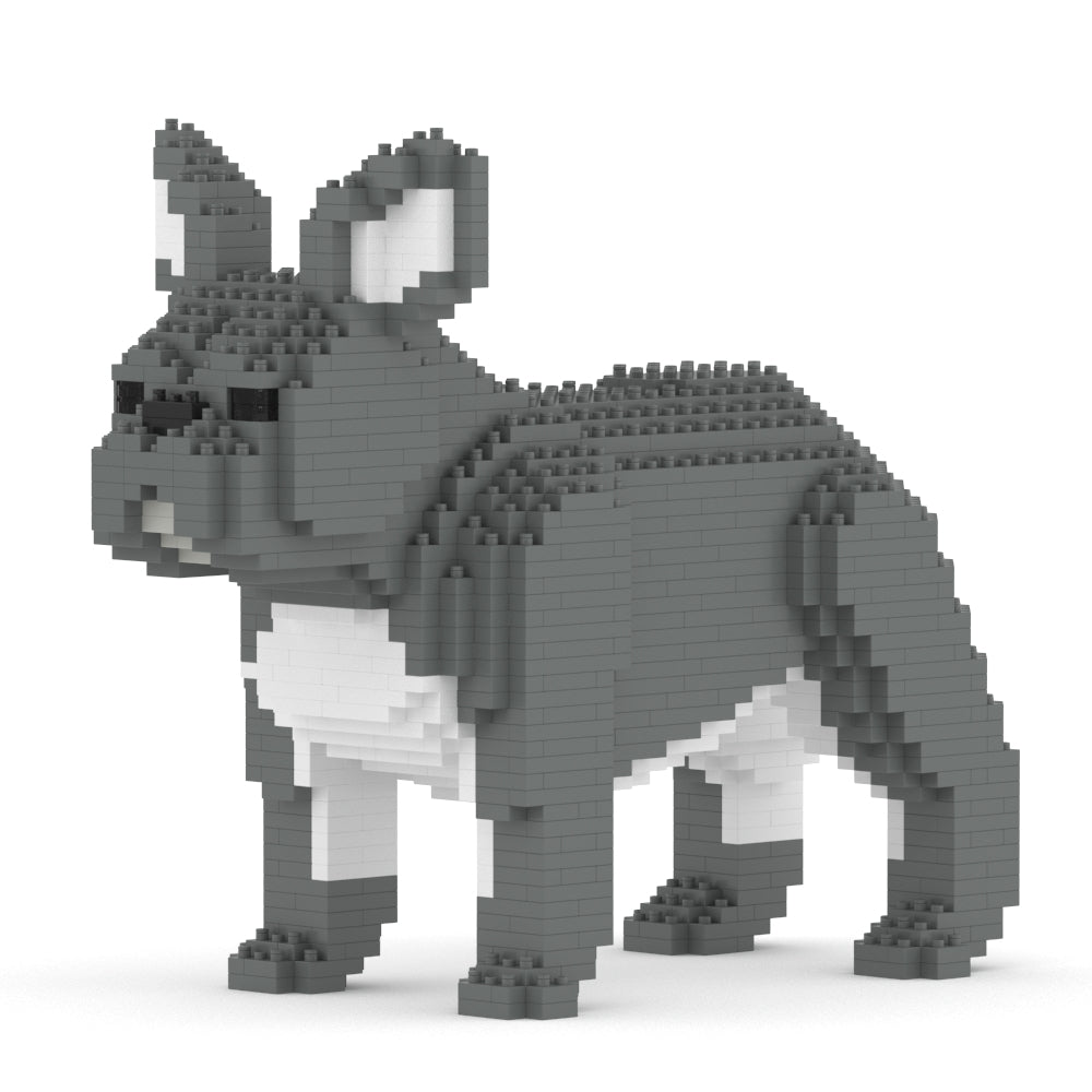 French Bulldog 02-M05