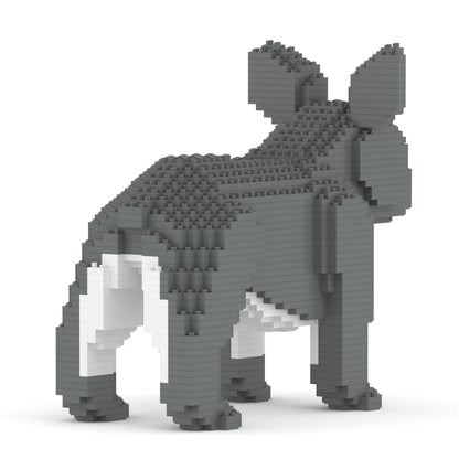 French Bulldog 02-M05