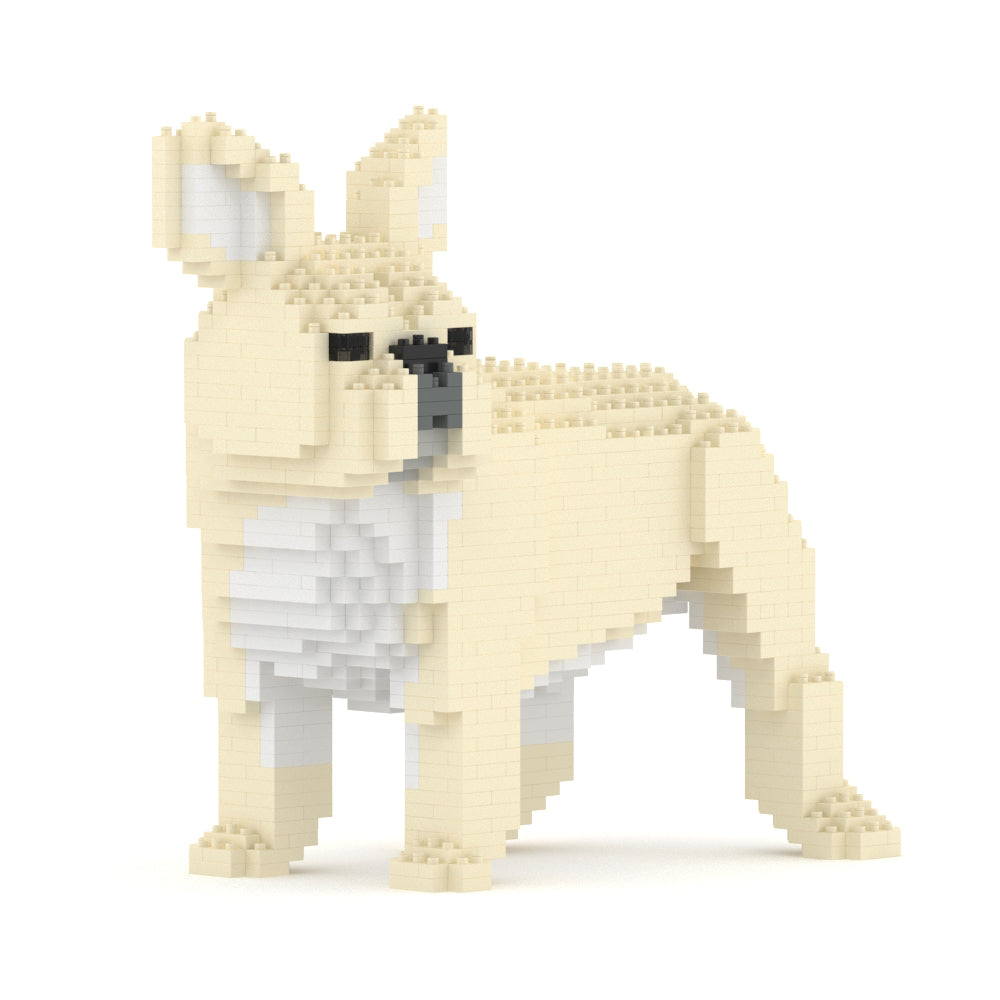 French Bulldog 03-M02