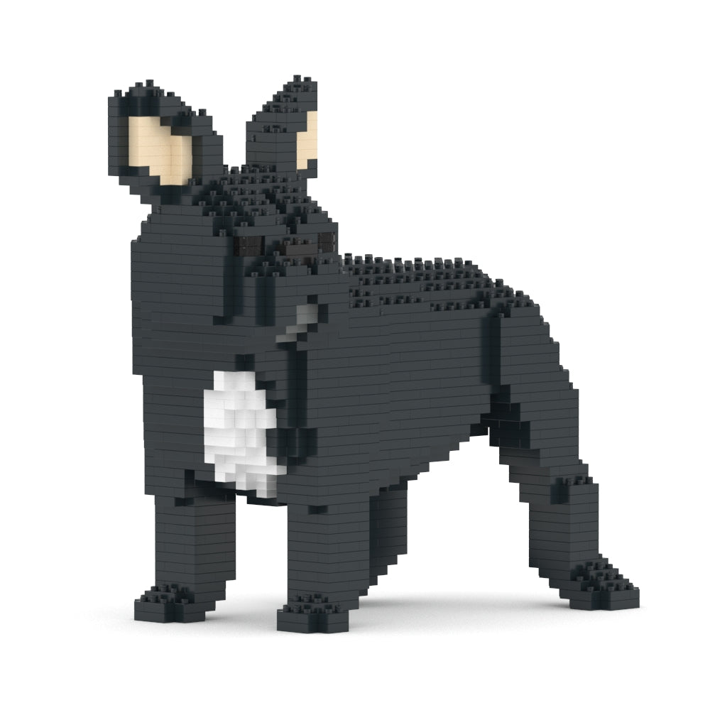 French Bulldog 03-M03