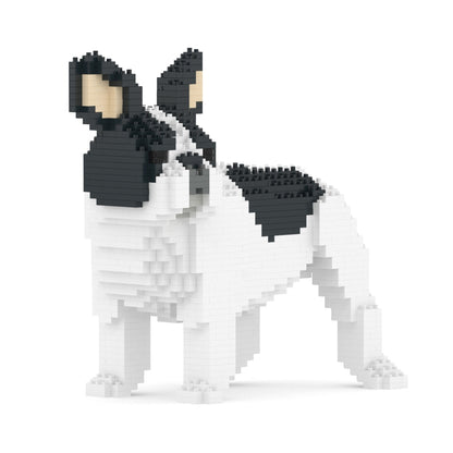 French Bulldog 03-M04