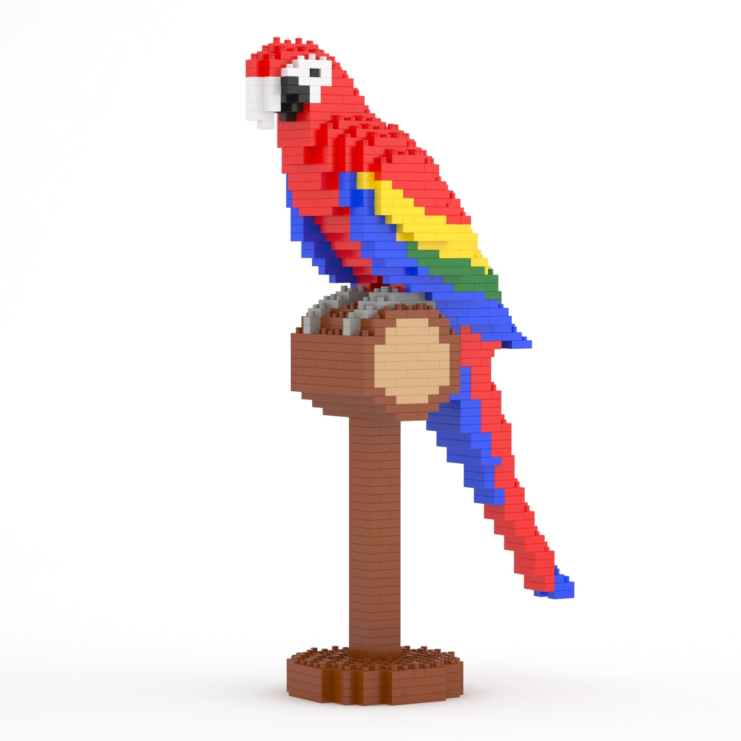 Scarlet Macaw 01SB