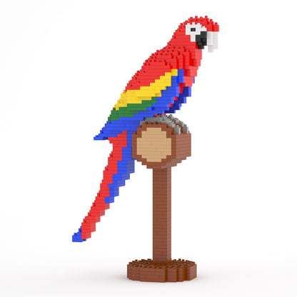 Scarlet Macaw 01SB