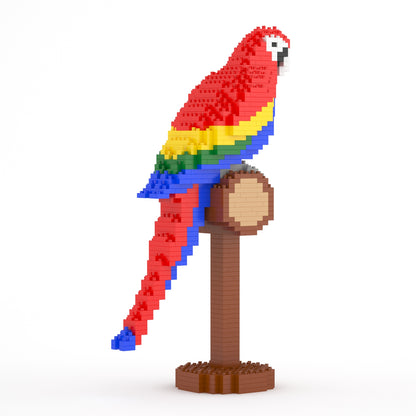 Scarlet Macaw 01SB