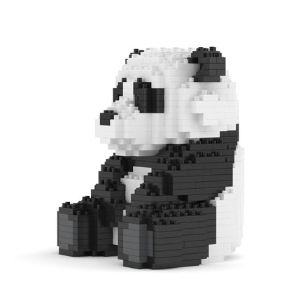 Panda 01B  (version 2024)