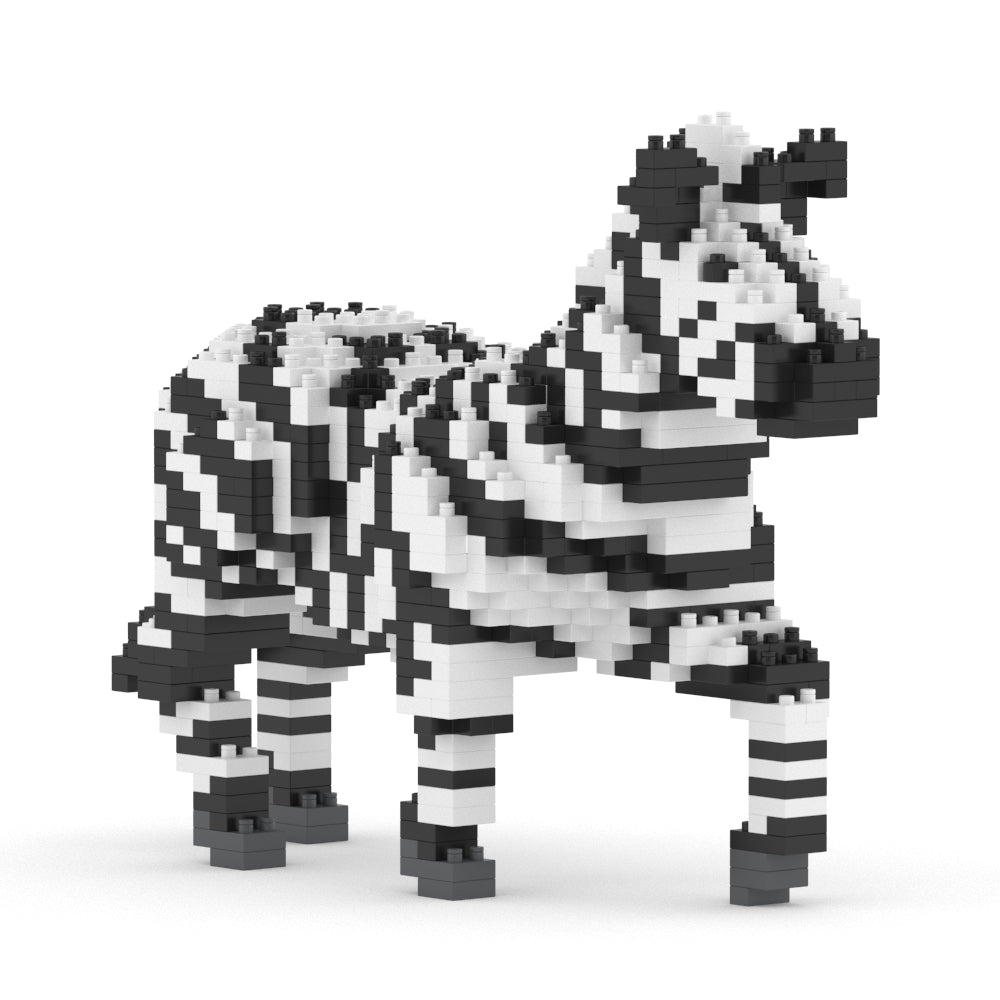 Zebra 01