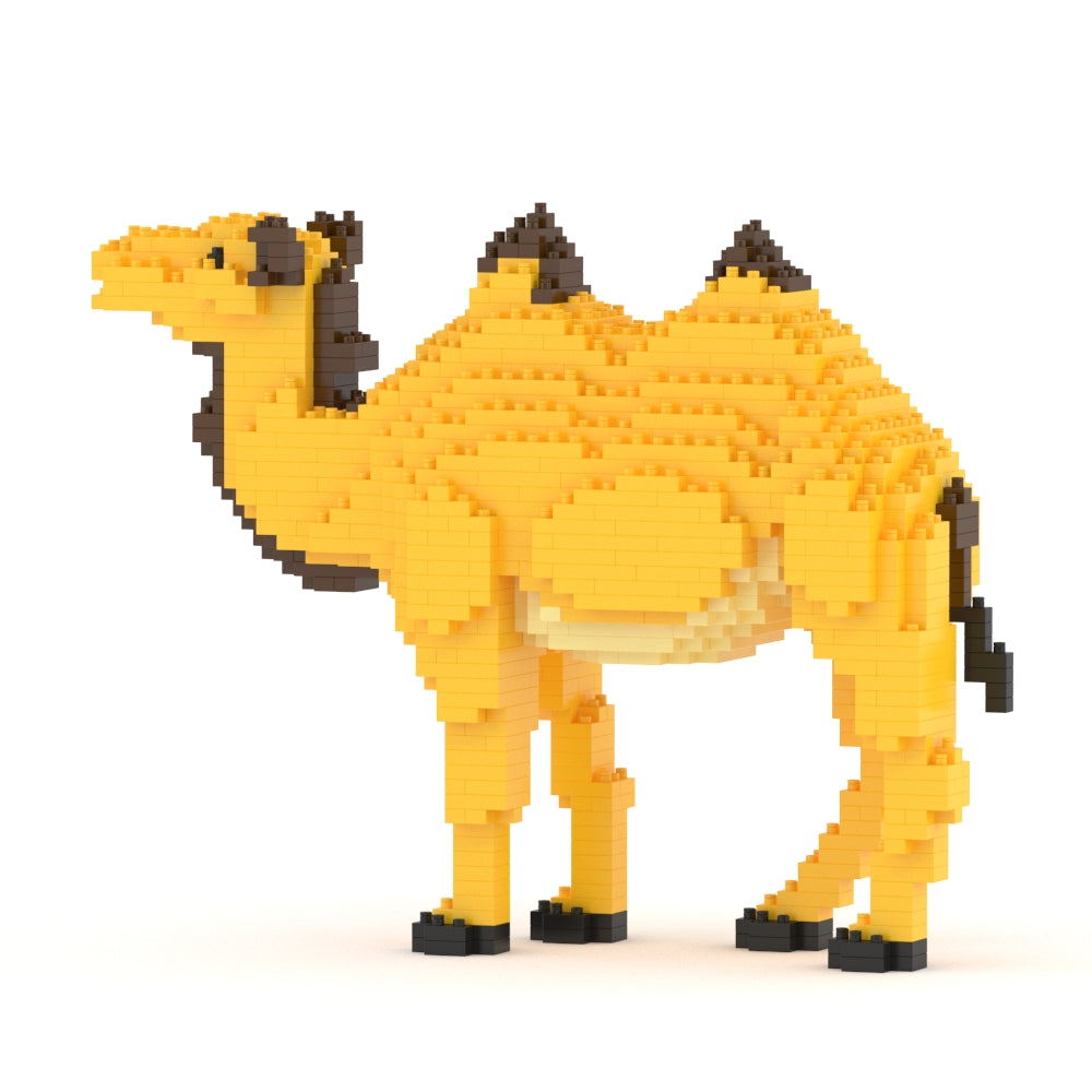 Camel 01